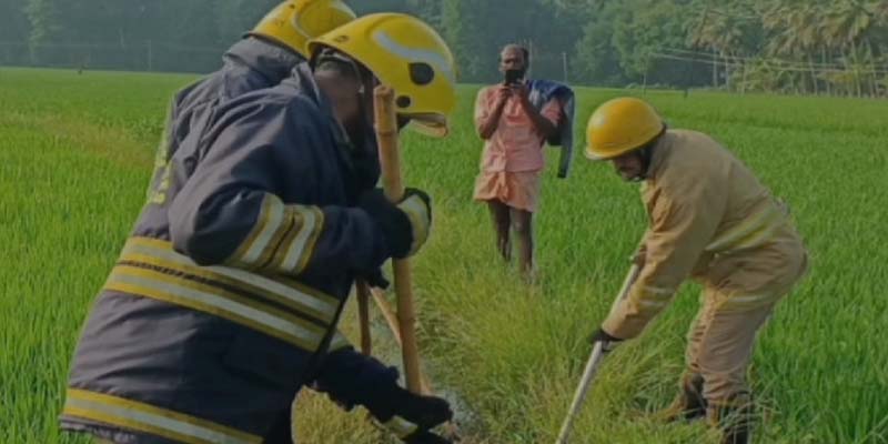 விவசாயிகளை அச்சுறுத்திய 10 அடி நீள மலைப்பாம்பு ! என்ன நடந்தது இதோ ?