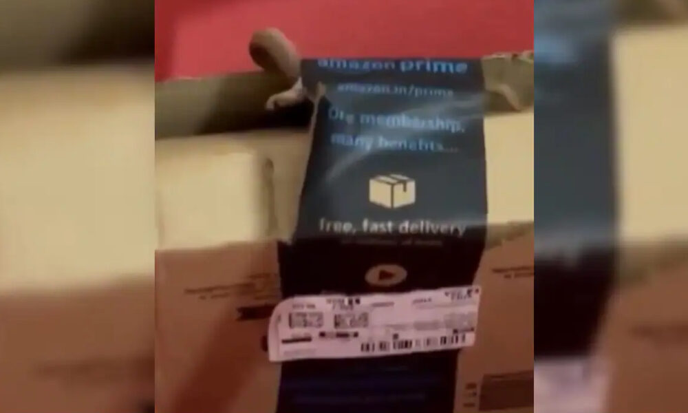 ஆன்லைனில் ஆர்டர் செய்த பார்சலில் விஷப்பாம்பு..!!