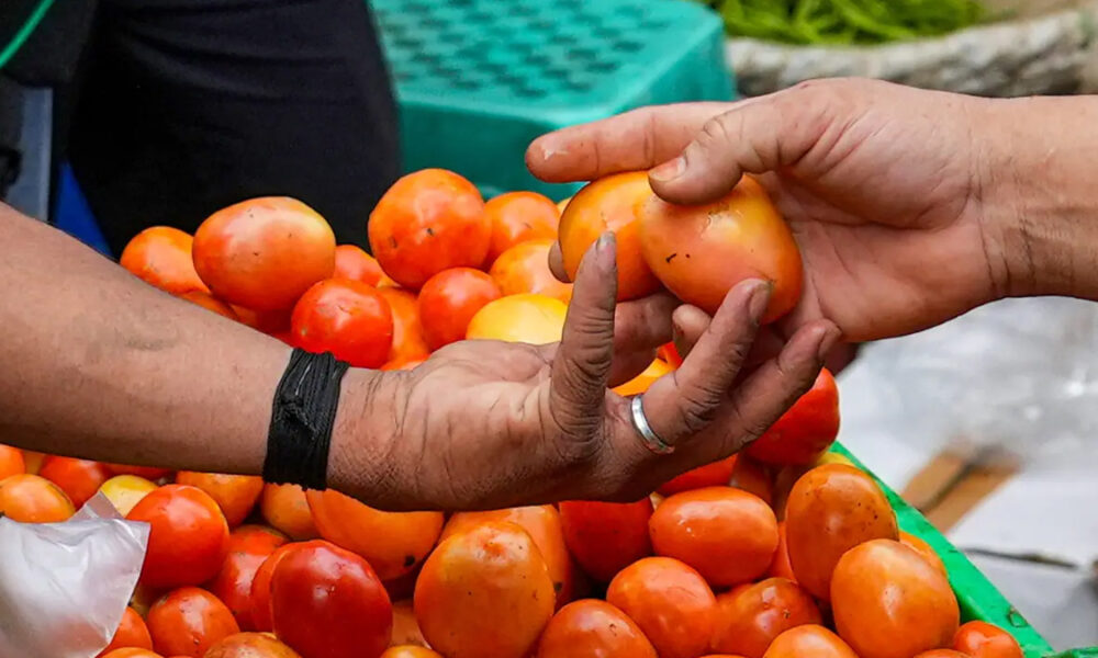வரத்து அதிகரிப்பால் தக்காளியின் விலை குறைந்தது