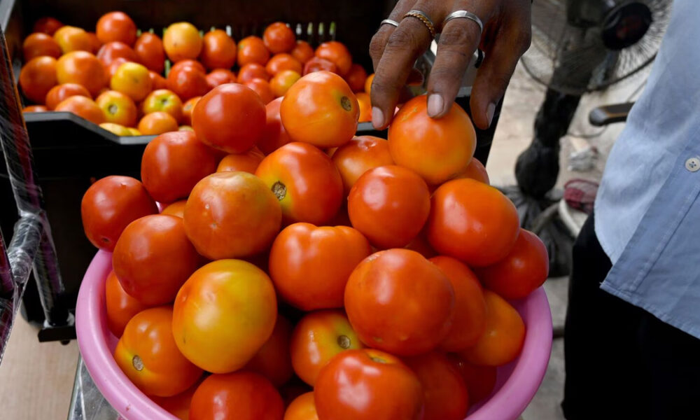 ஒரு கிலோ தக்காளி இவ்வளவு விலையா? பொது மக்கள் அதிர்ச்சி..!!